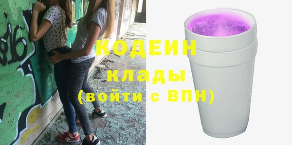 ECSTASY Бородино