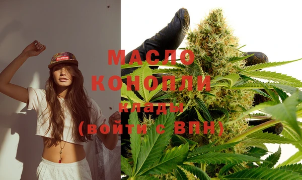 ECSTASY Бородино