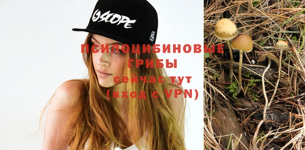 стаф Бугульма