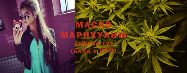 ECSTASY Бородино