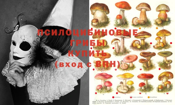 бутират Верея