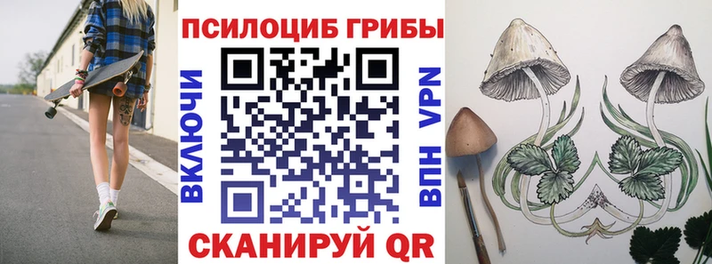 Галлюциногенные грибы прущие грибы  Шадринск 